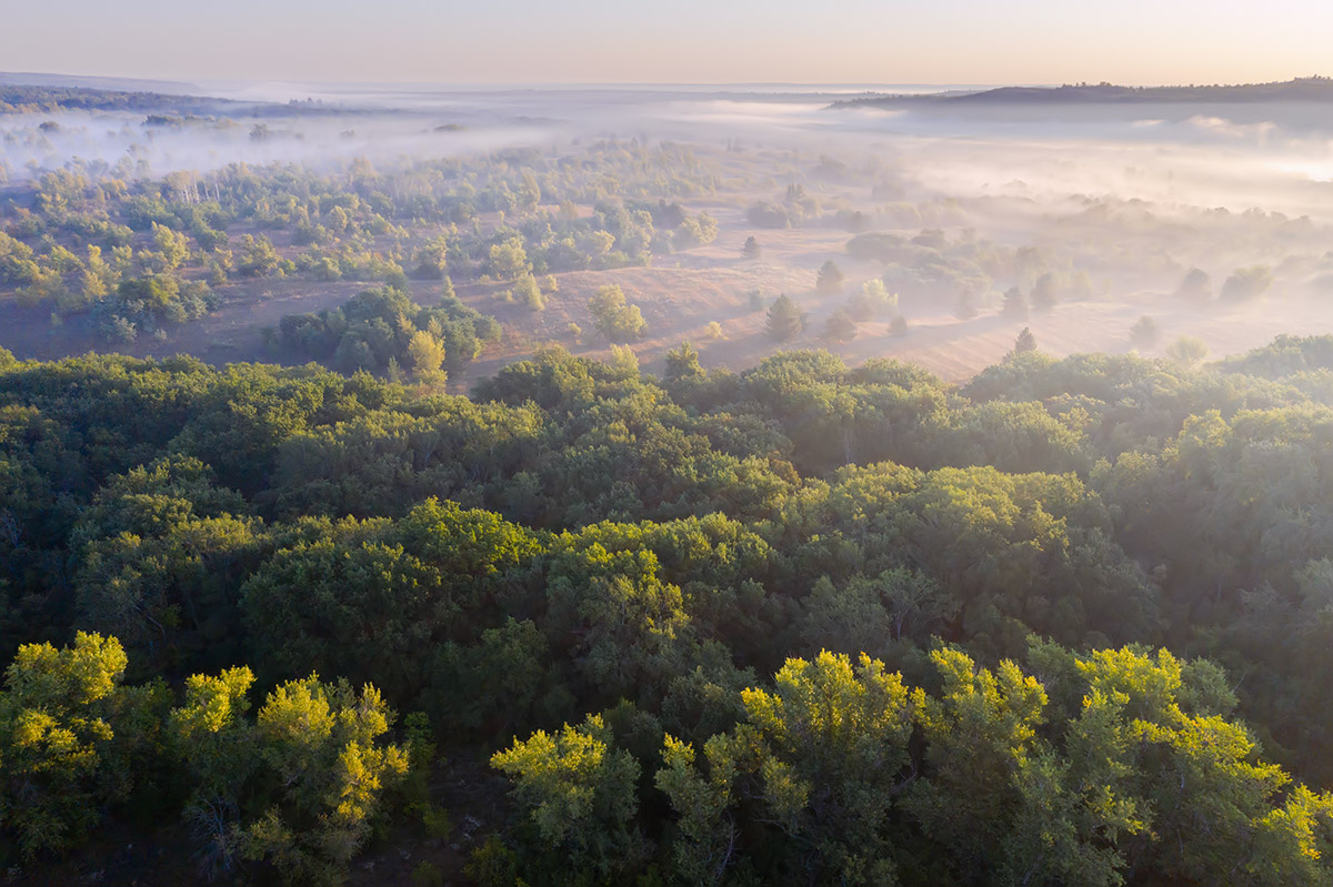 Утренний полет