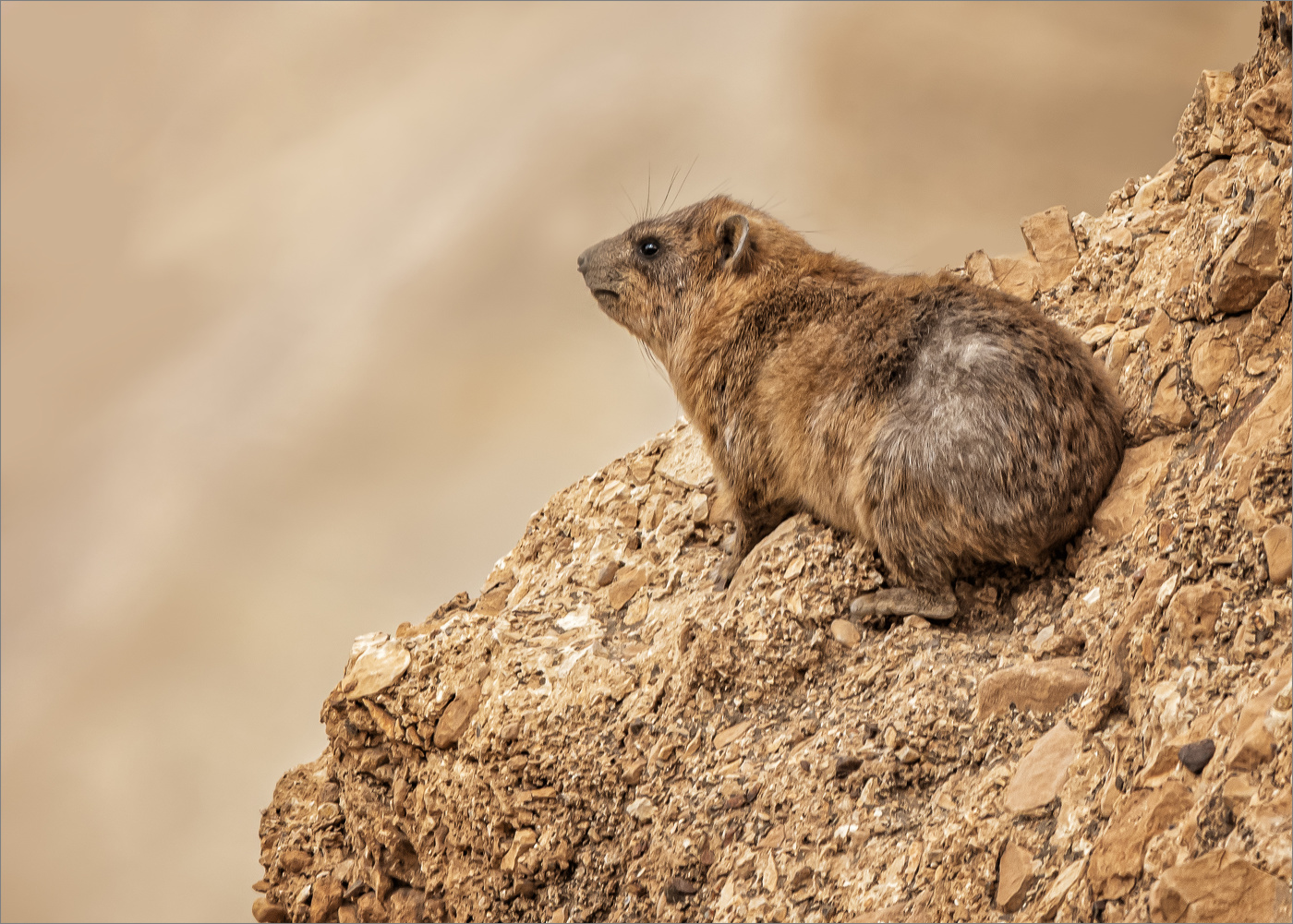 Погреть старые косточки