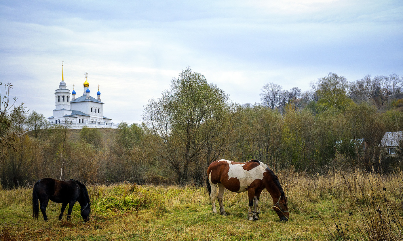 Вот моя деревня.