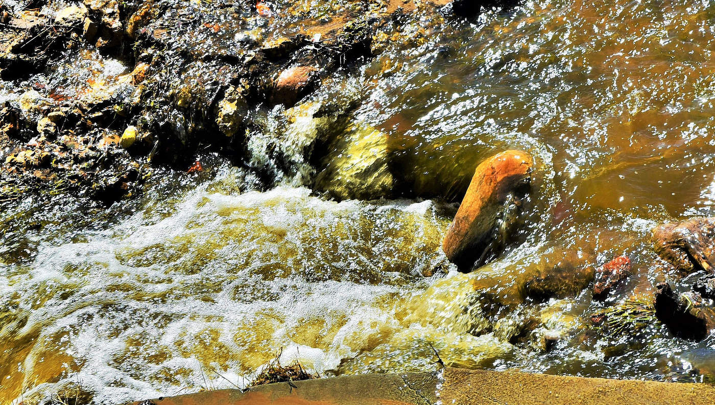 "Весна - потоком сладострастья все ароматней новый день..."
