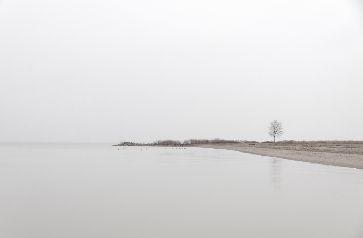 Нестандартный Петергоф - 30