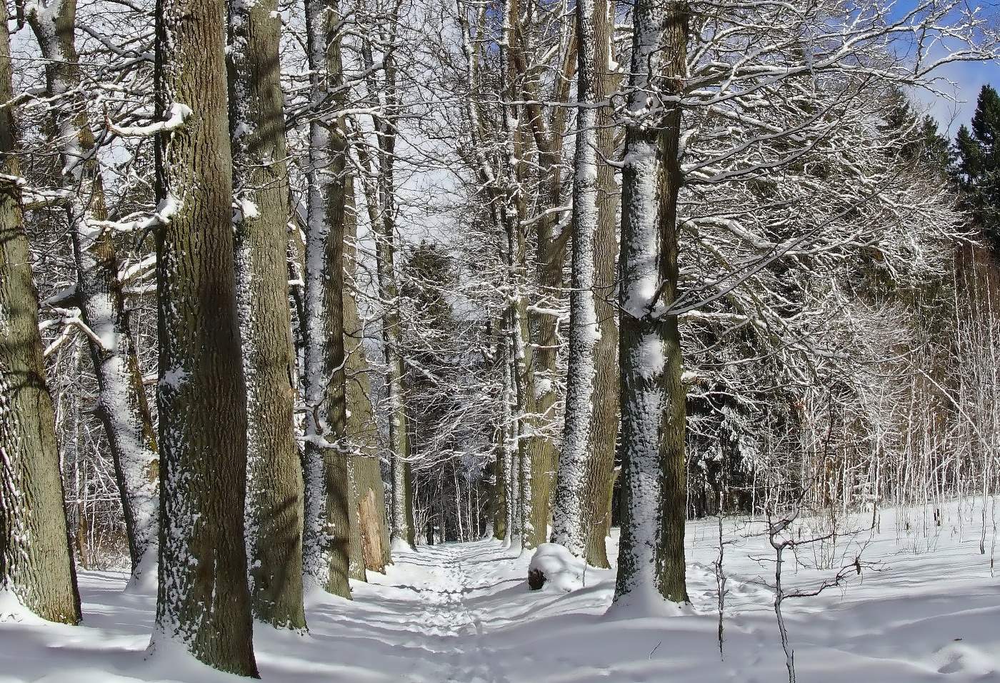 Солнечный день