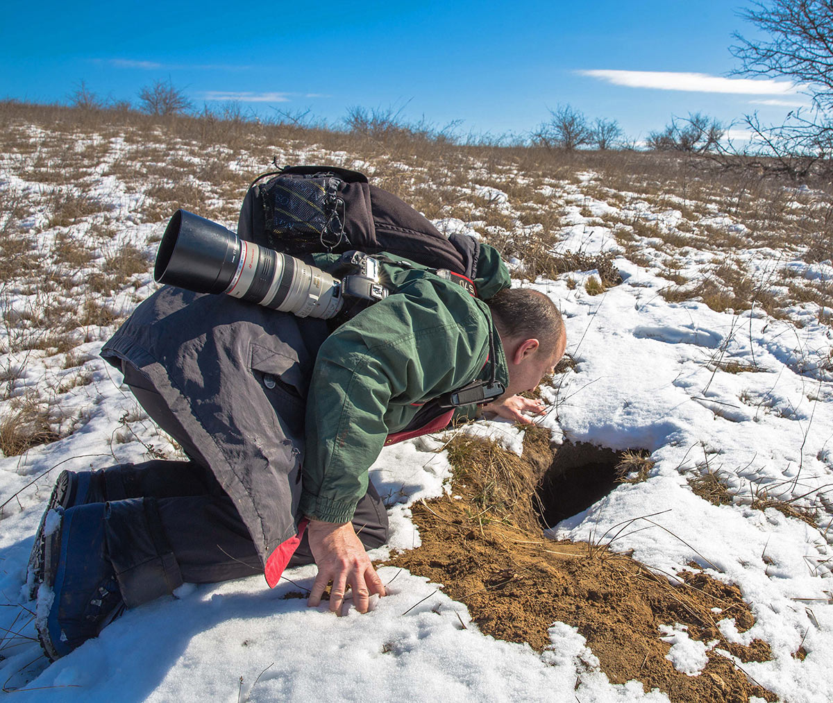 Я спрашиваю: эй, кто-нибудь дома?