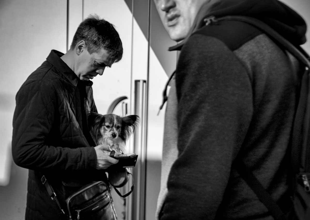 Собачья жизнь