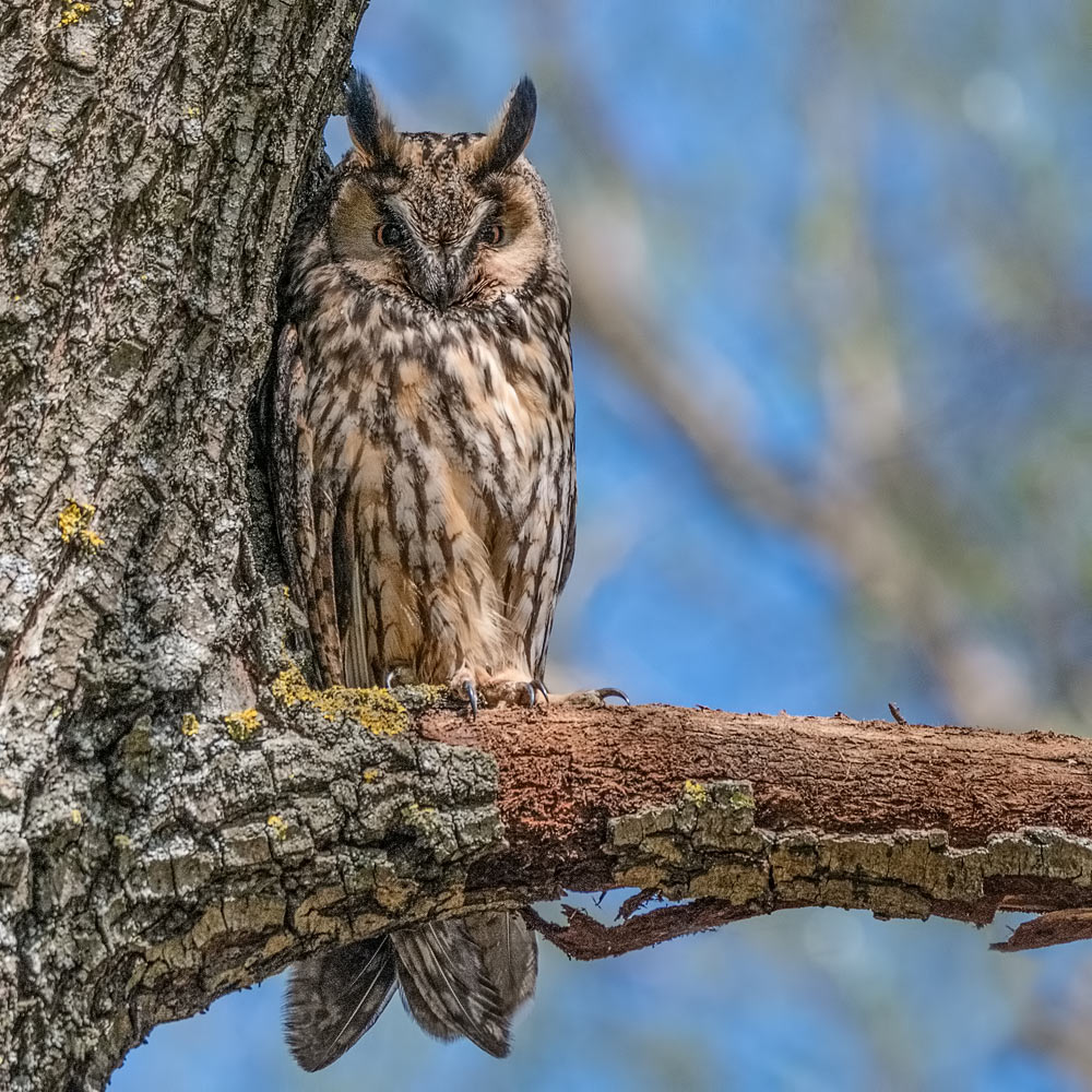 На солнышке теплее.