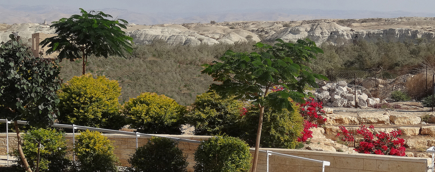 Пустыня отступает