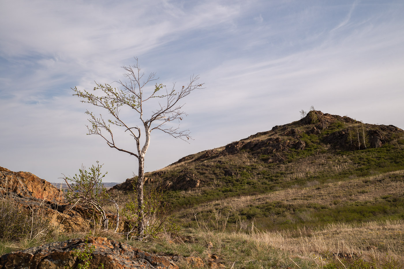 Перезимовала...