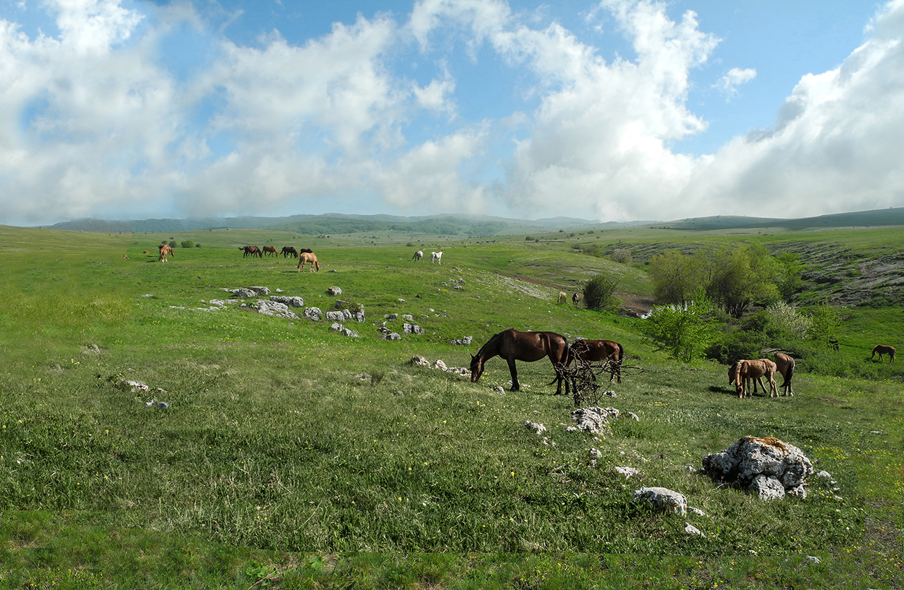 Весеннее утро