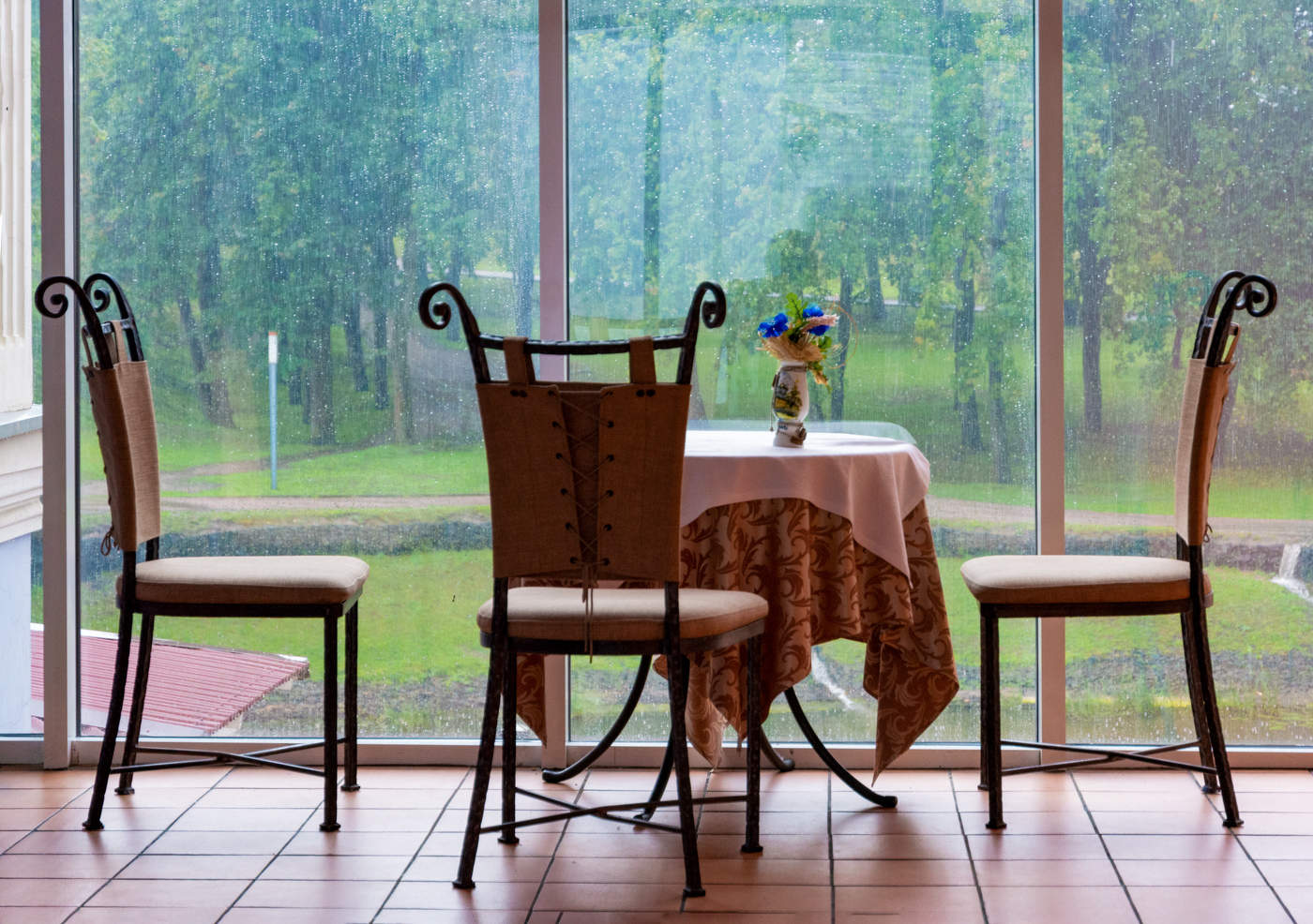 интерьер с дождём