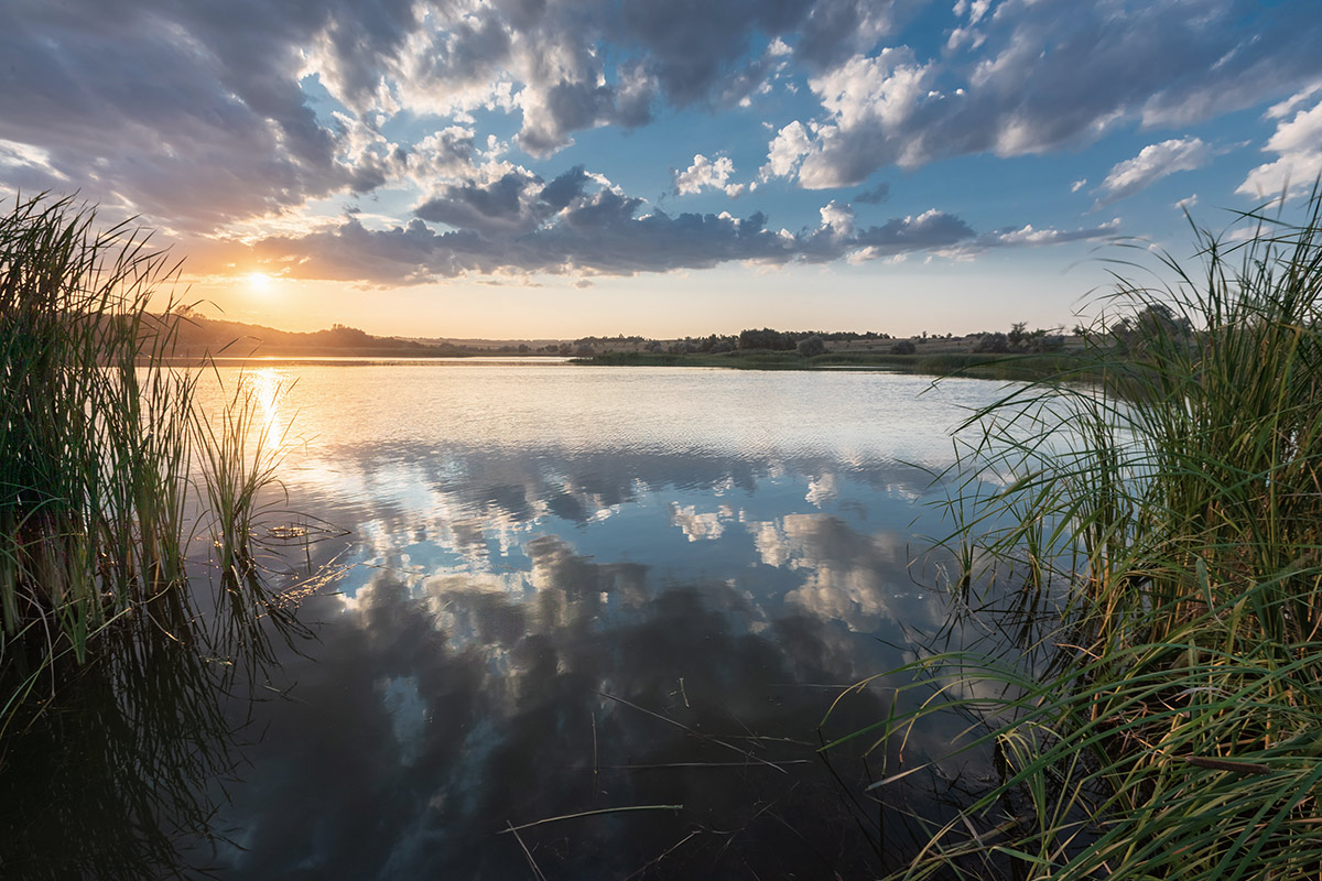 Летним вечером
