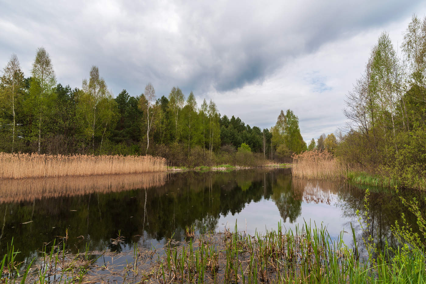 лесное озеро