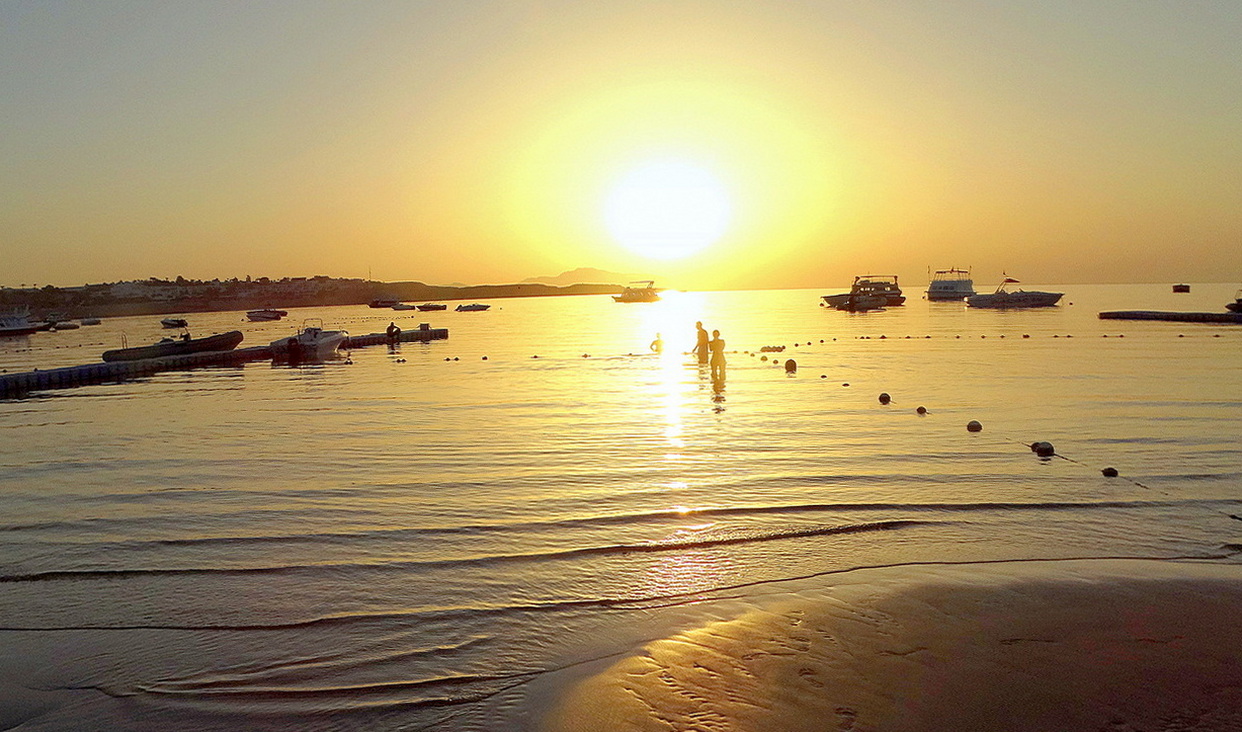 На фоне яркого утреннего солнца