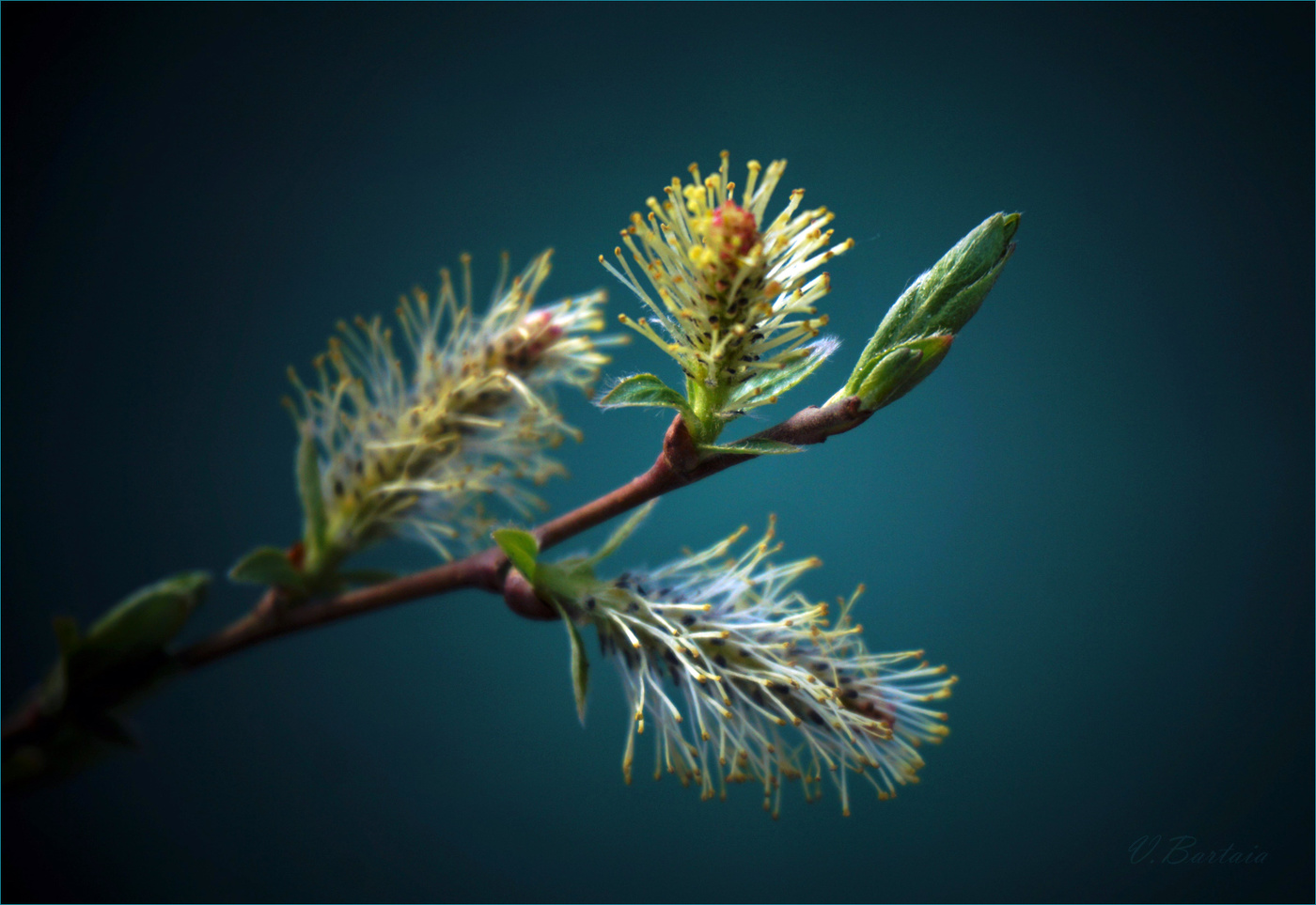 Весна в деталях