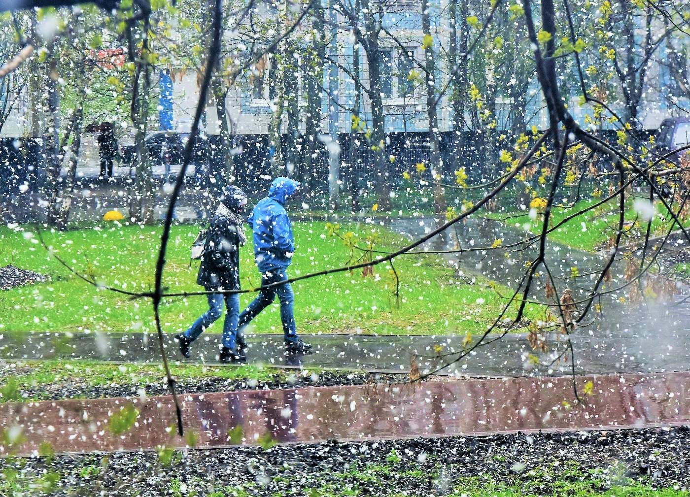 "И в божьем мире то ж бывает и в мае снег идет порой..."