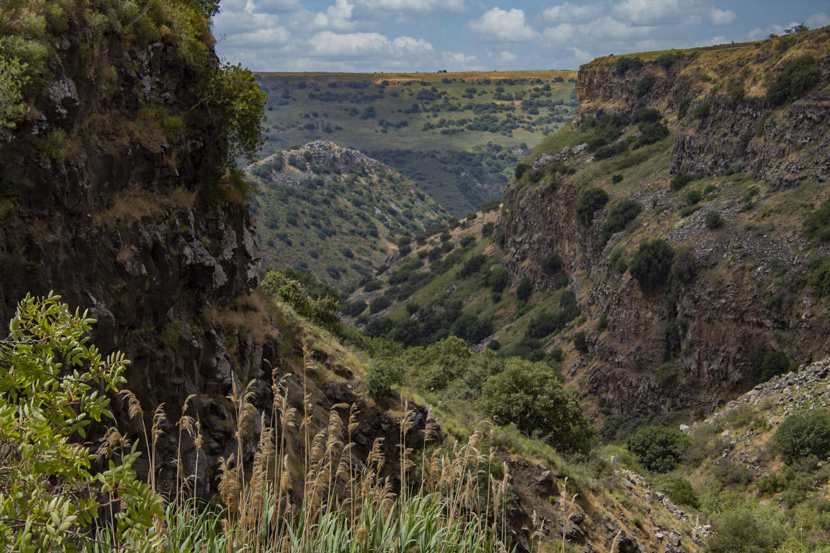 На Голанских высотах
