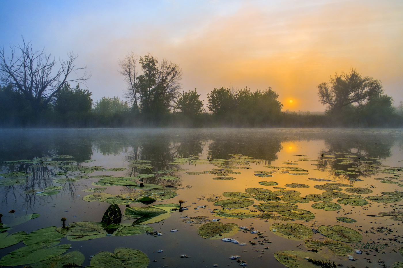 На рассвете.