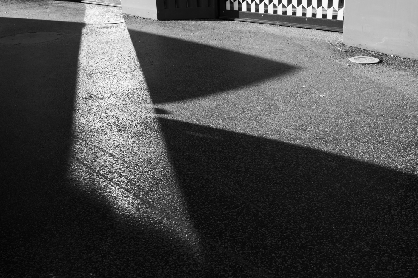 Тень бабочки