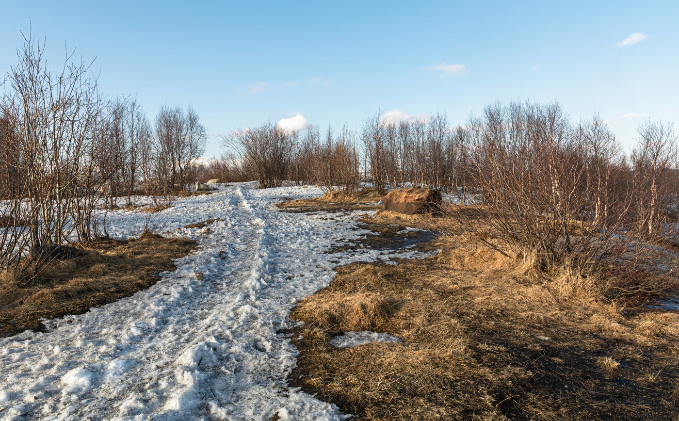 следы уходящей зимы