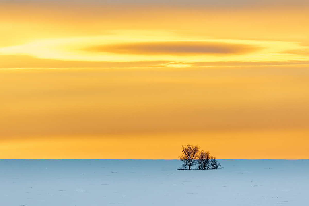 Краски зимнего утра