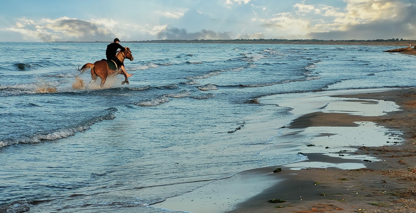 С ветром споря...