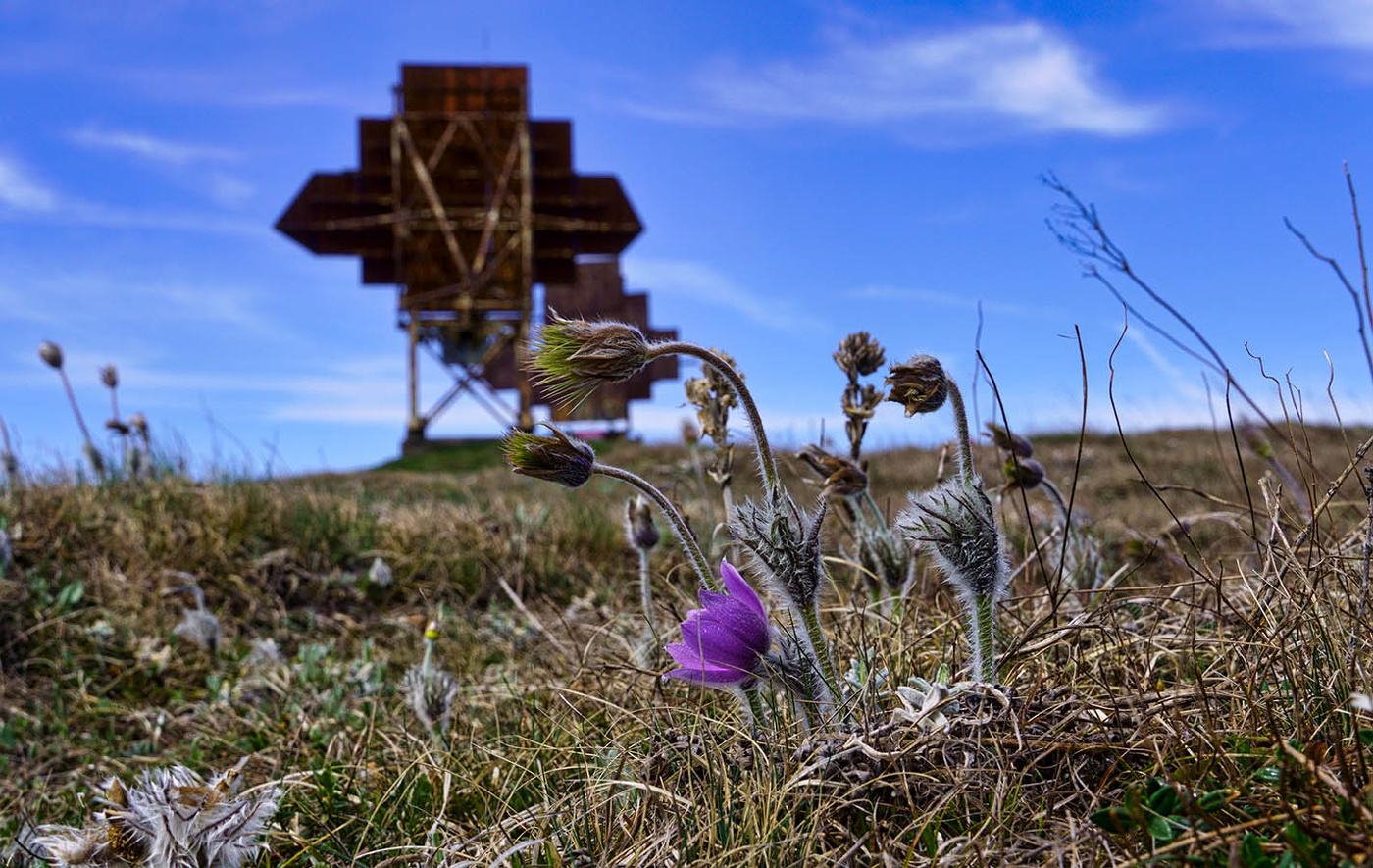 На Северном Демирдж
