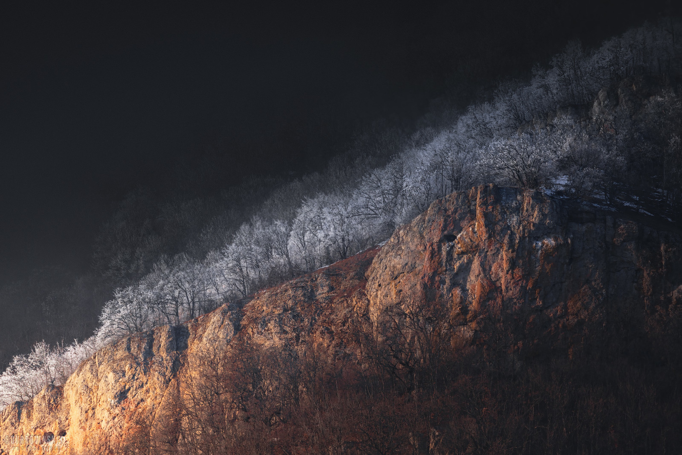 Свет и тьма