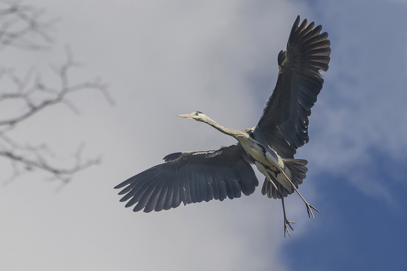 Обнимая небо