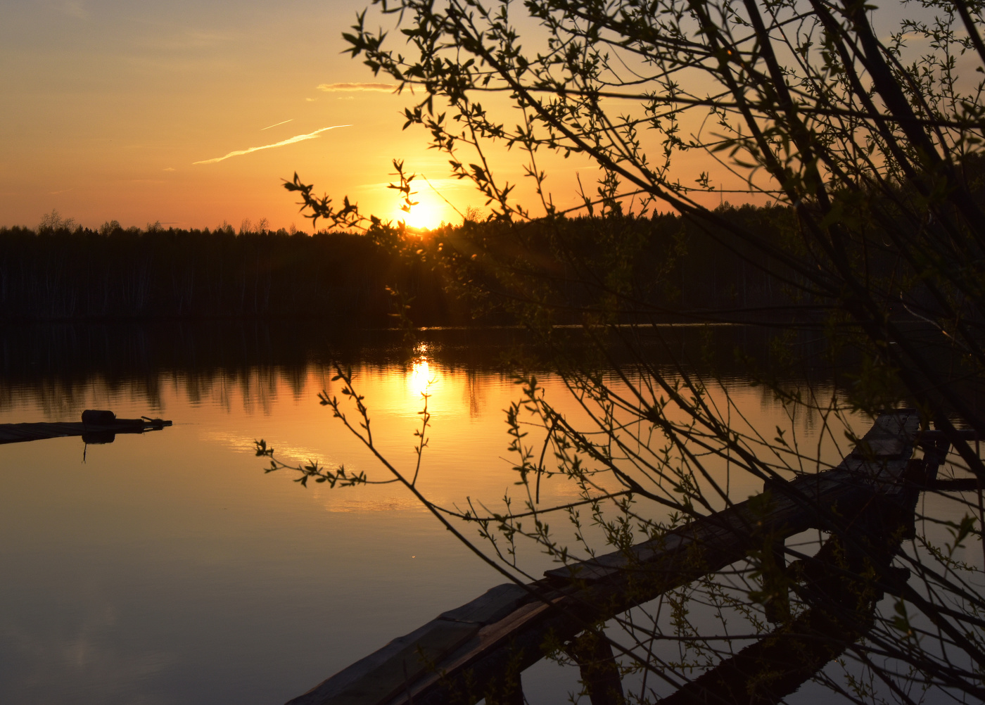 Нежность майского заката