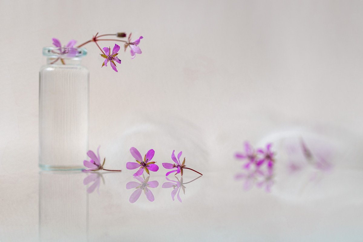 фиолетовый