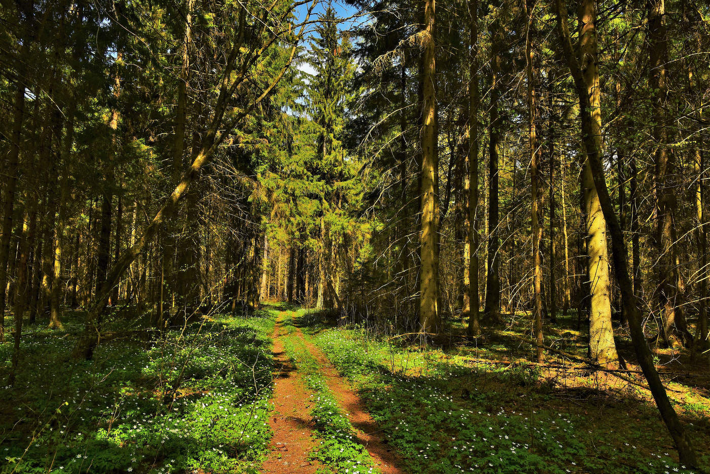 Контрасты солнечного дня ...