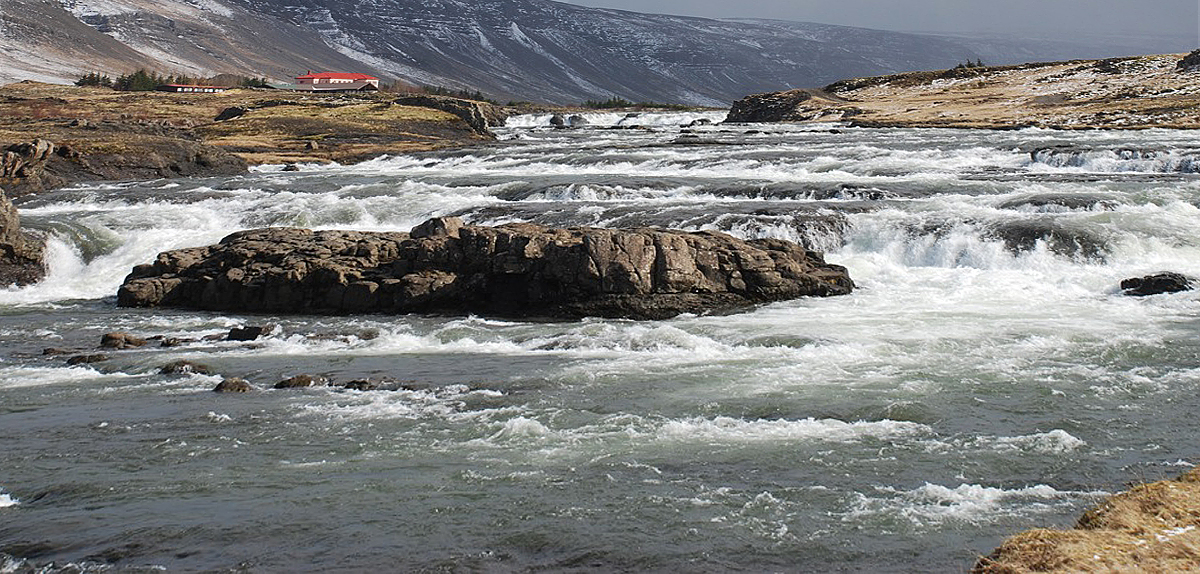 живут же люди