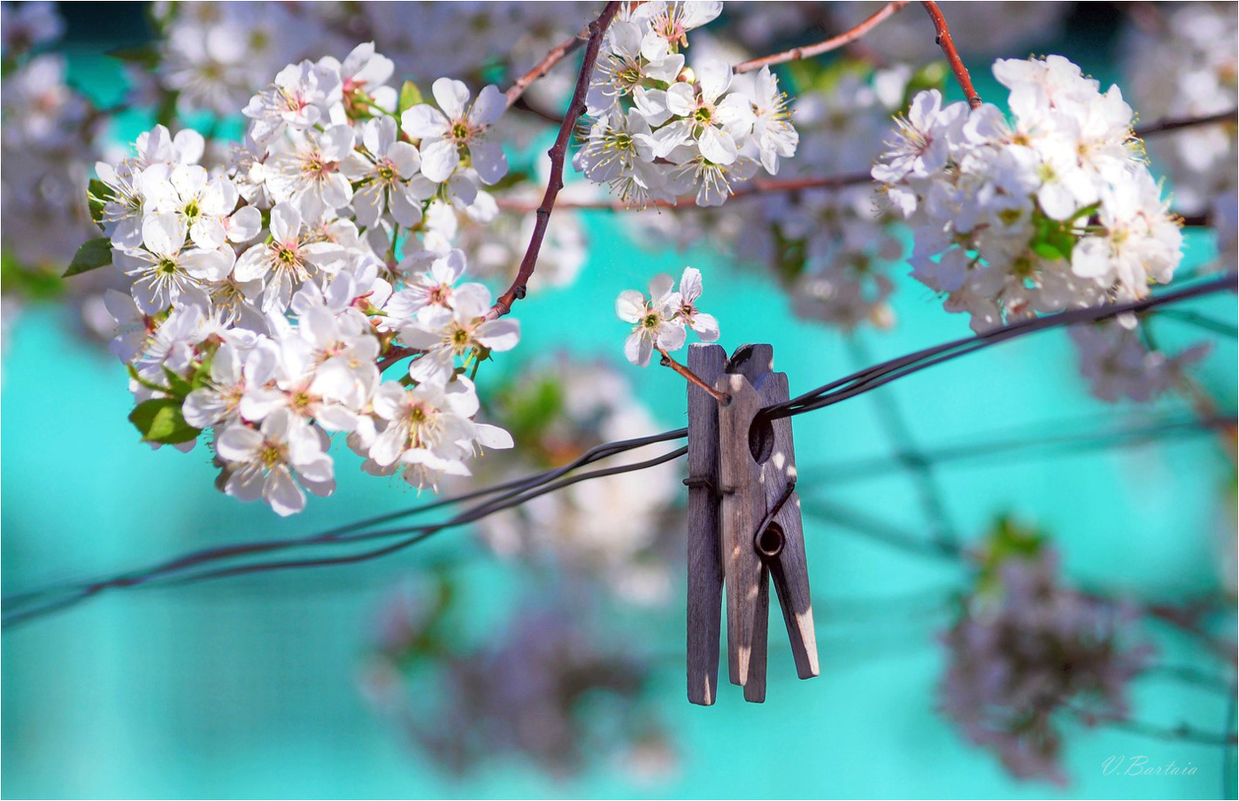 Улыбнись весне