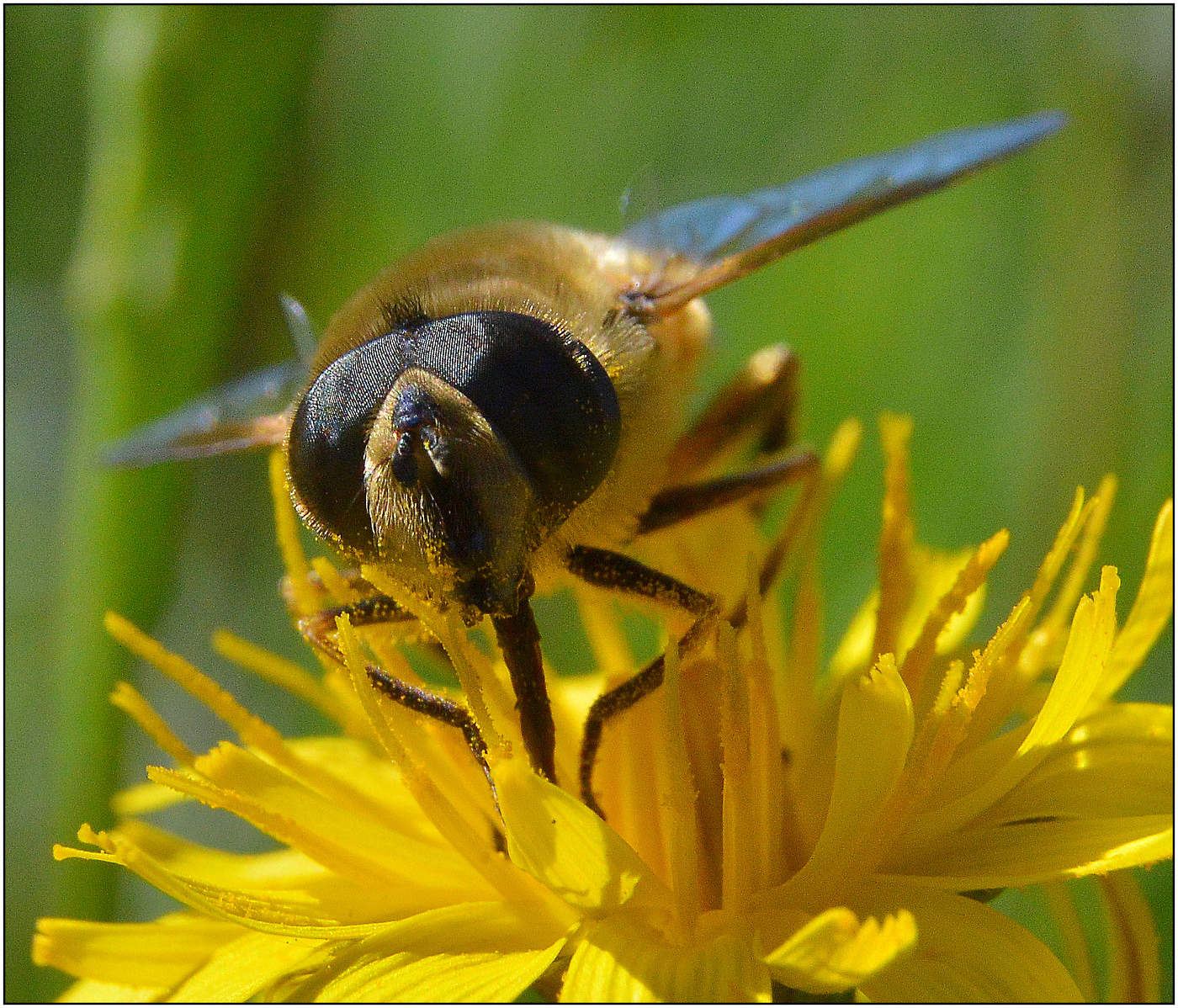 И только осень...