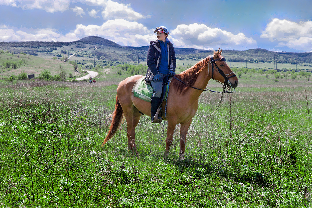 Портрет скакуна Бархана с наездницей