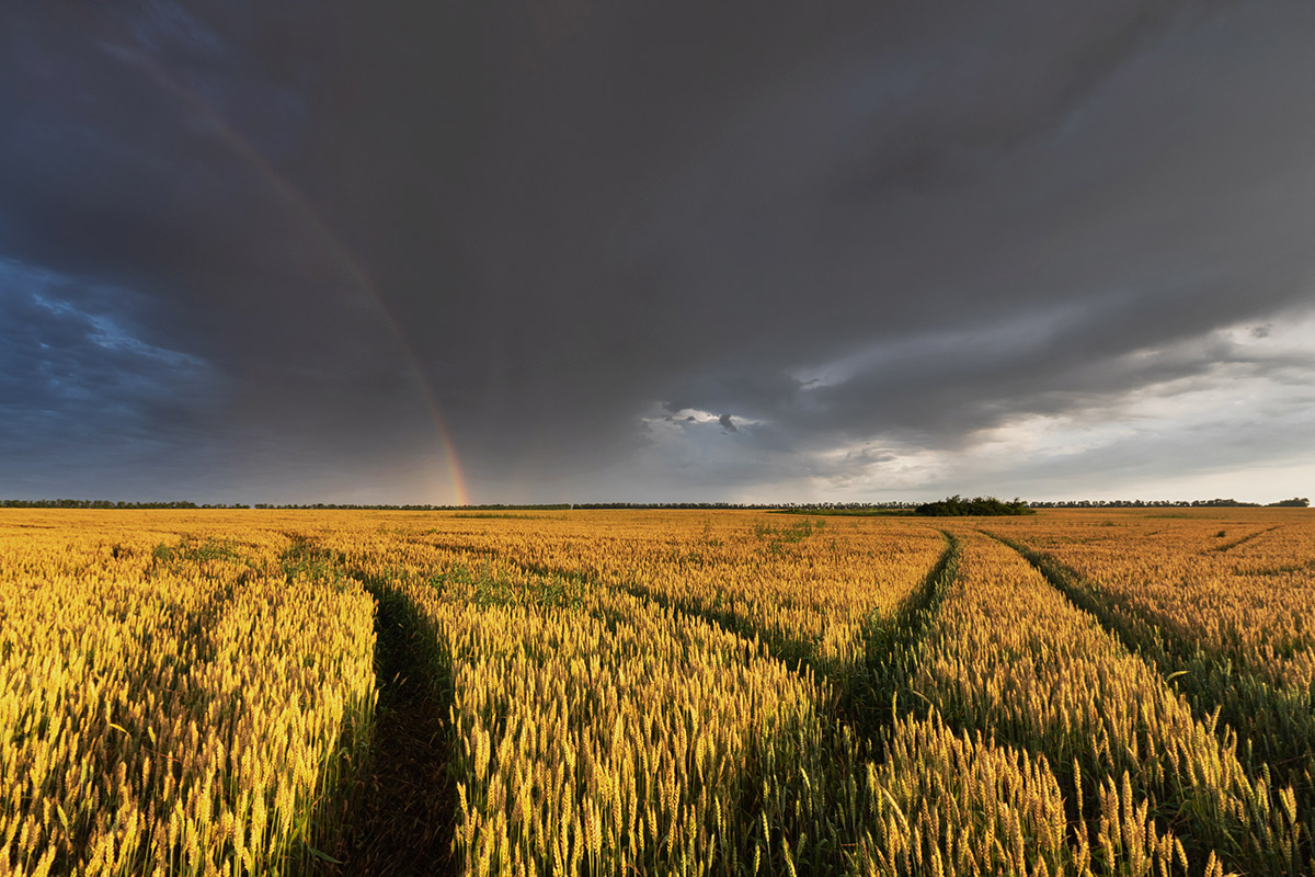 Июльская радуга