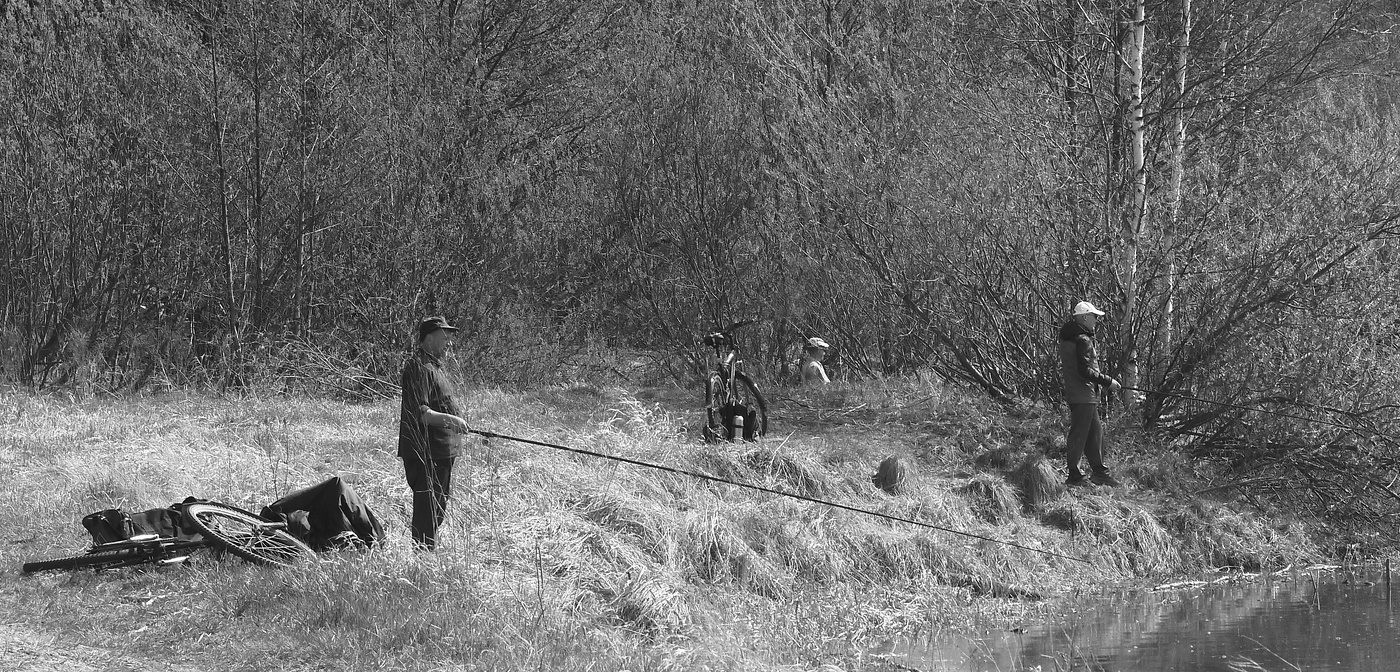 Если у вас нету дачи...