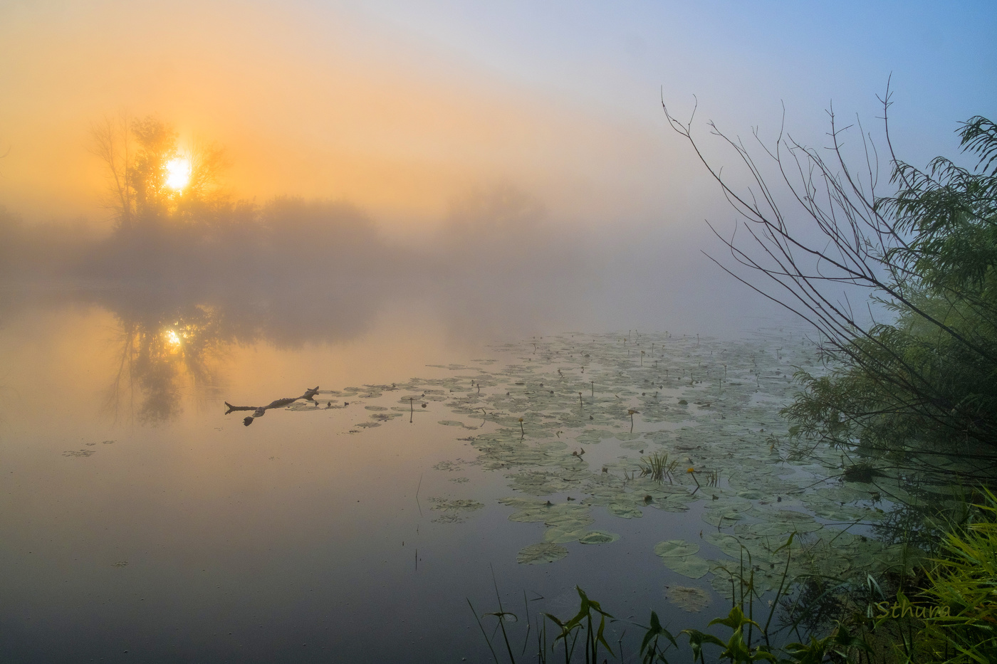 Утренний туман.