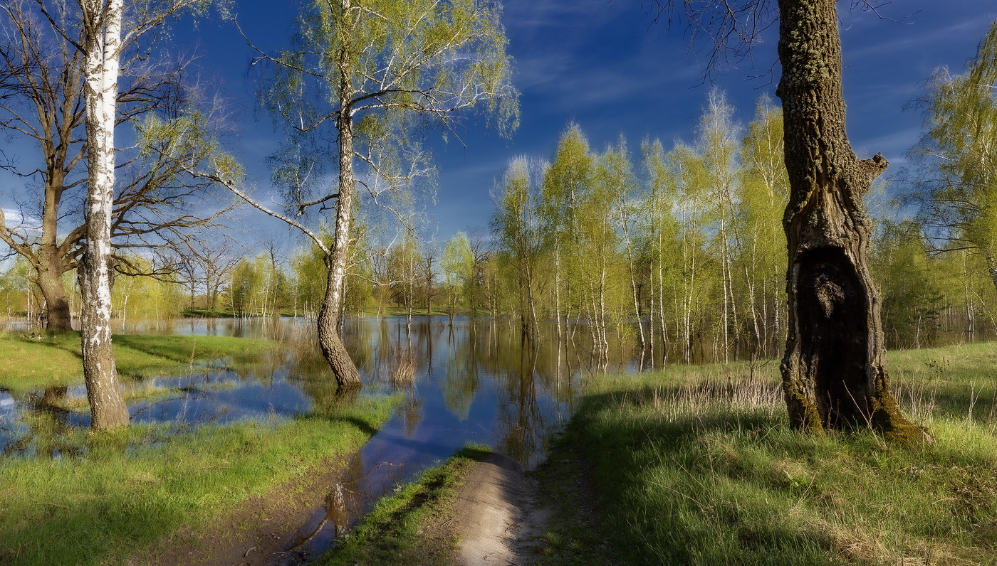 Весенние дороги не так уж и просты...