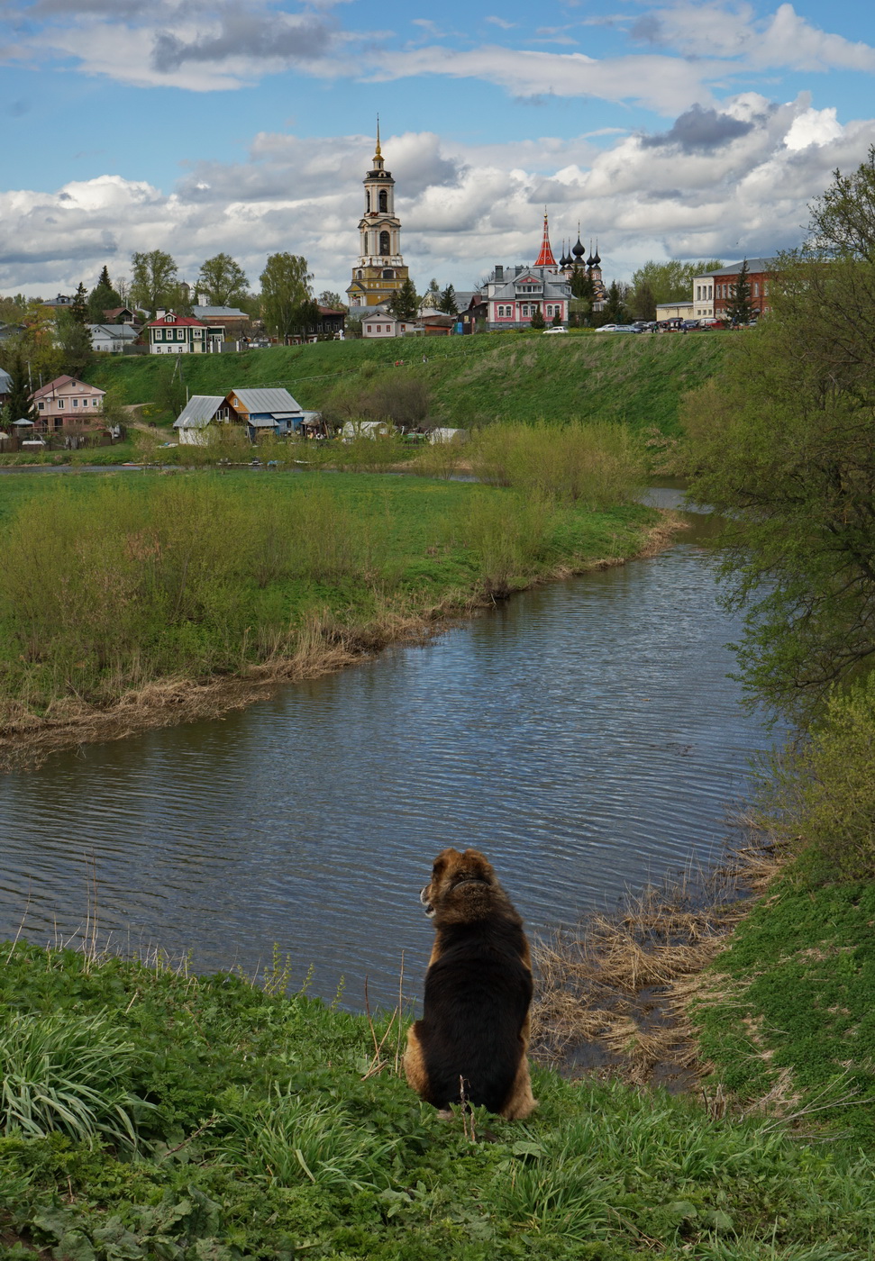 Созерцатель