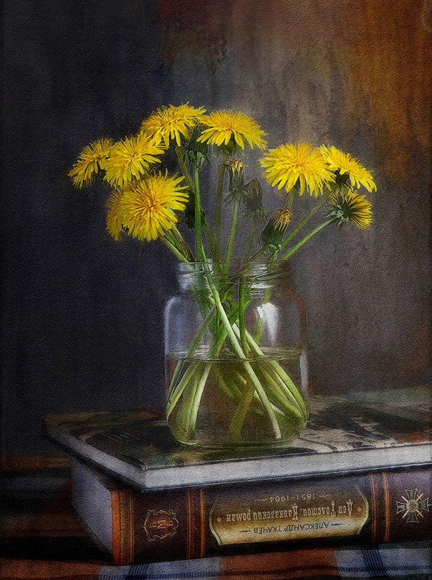 одуванчики №11