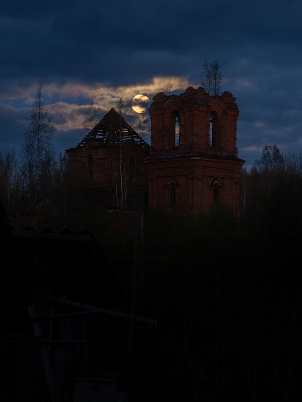 Жизнь вокруг