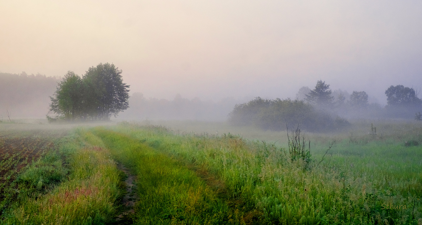 Лето, утро, туман.