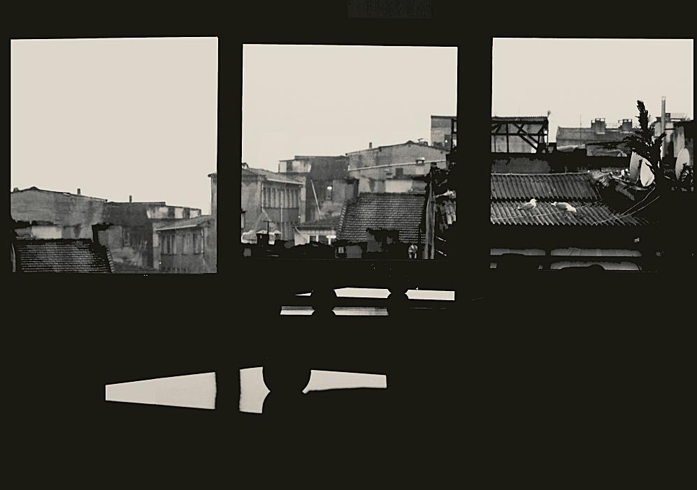 окна. крыши