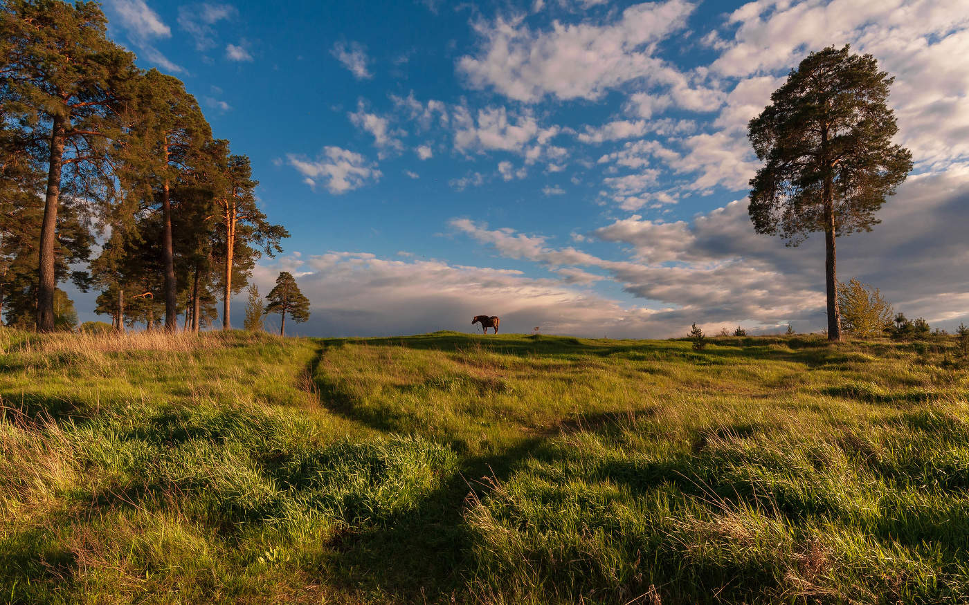 майским вечером..