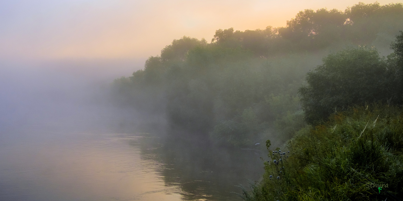 Летнее утро. Ока.