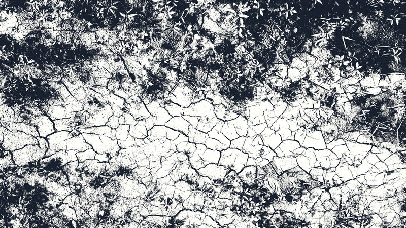 Жизнь вокруг