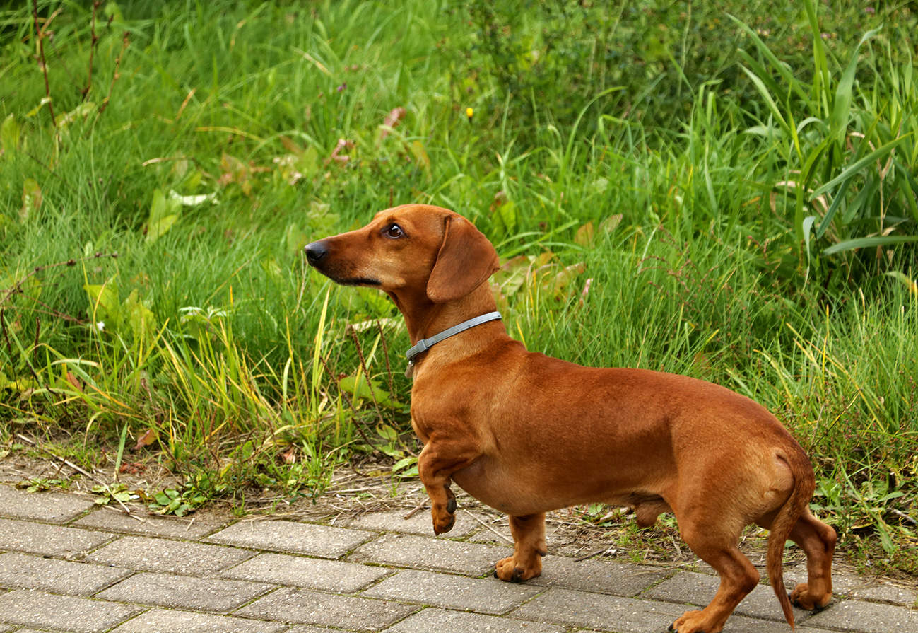 Я весь внимание...