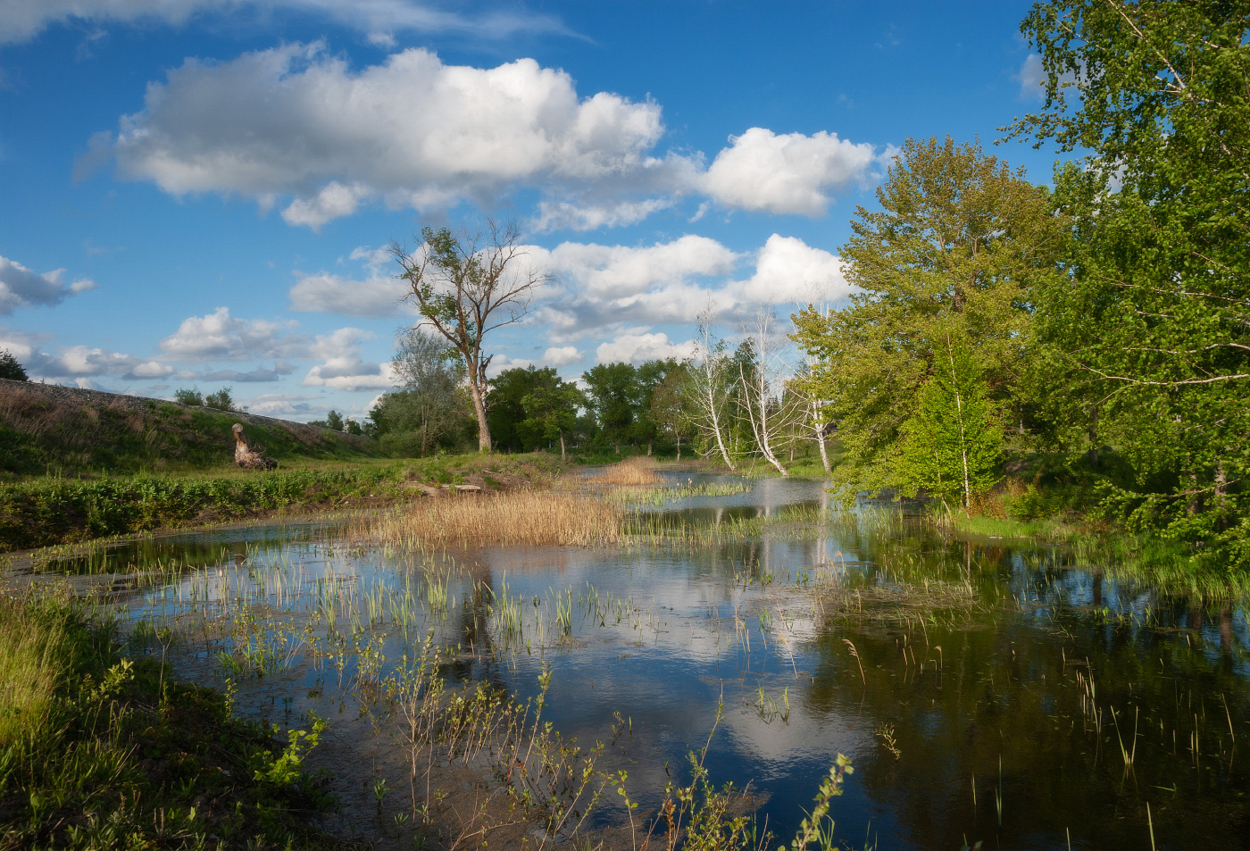Парк Юрского периода