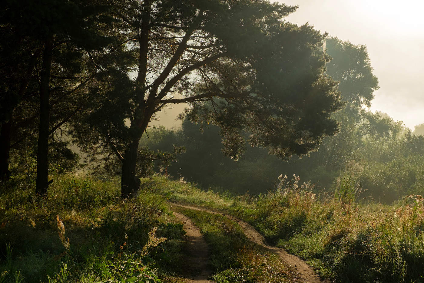 По дорожке.