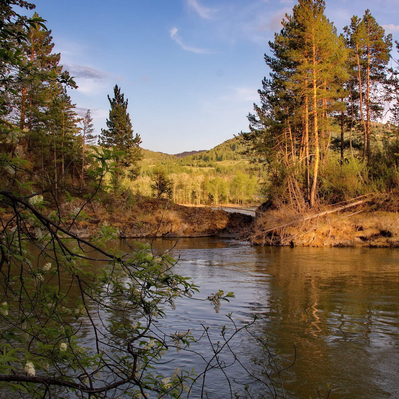 Тёплым вечером.
